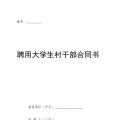 聘用大学生村干部合同书