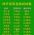 常见蔬菜种子泡水时间