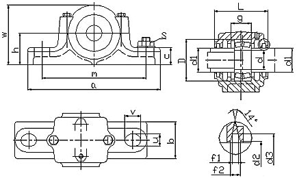 sn300