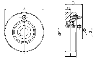 ucc300